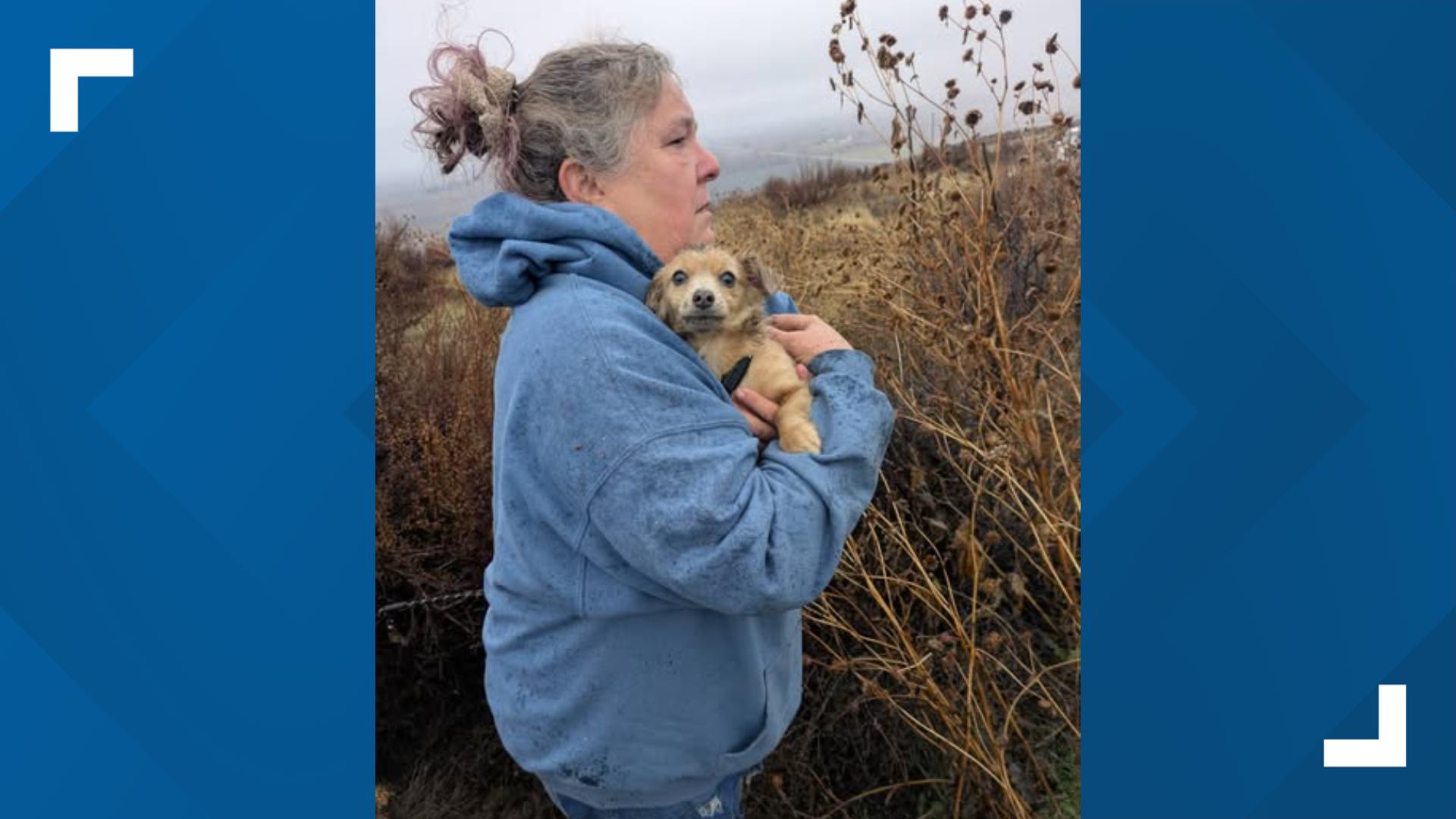 Authorities seek info on dogs shot, left for dead in eastern Oregon