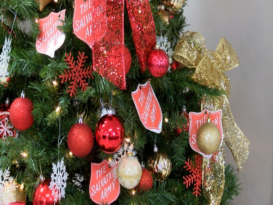 Salvation army christmas tree festival