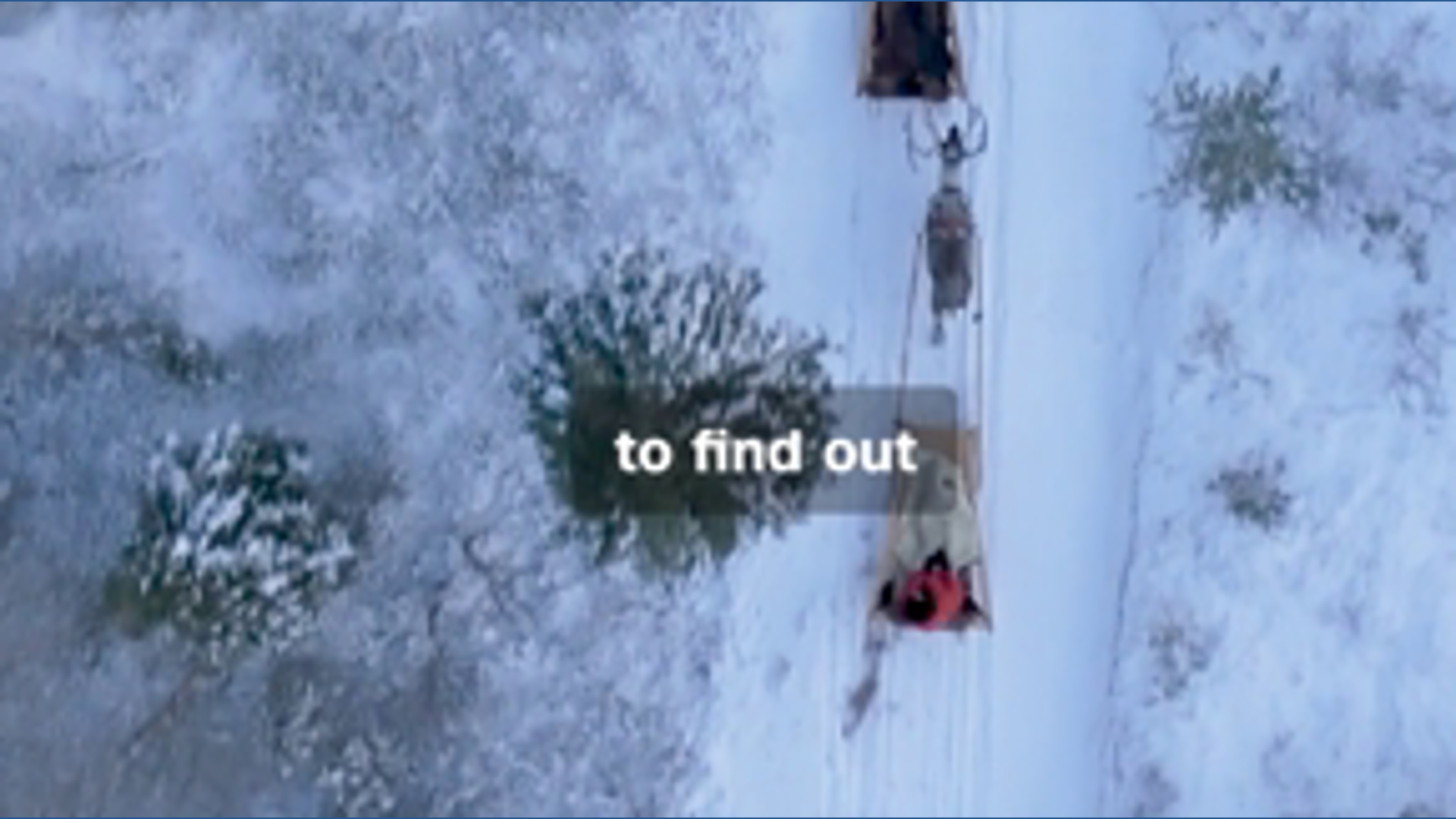 Is Putin's war killing Finland's reindeer?