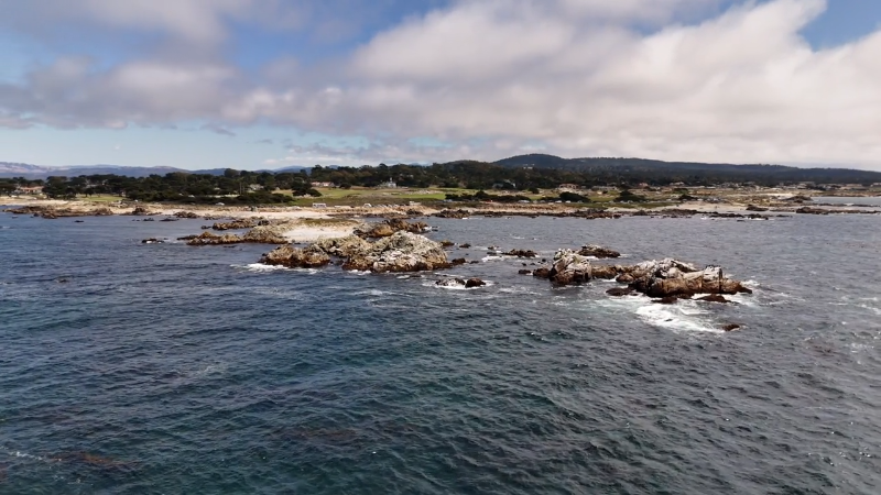 Swimmer missing in possible CA shark attack identified as search ends