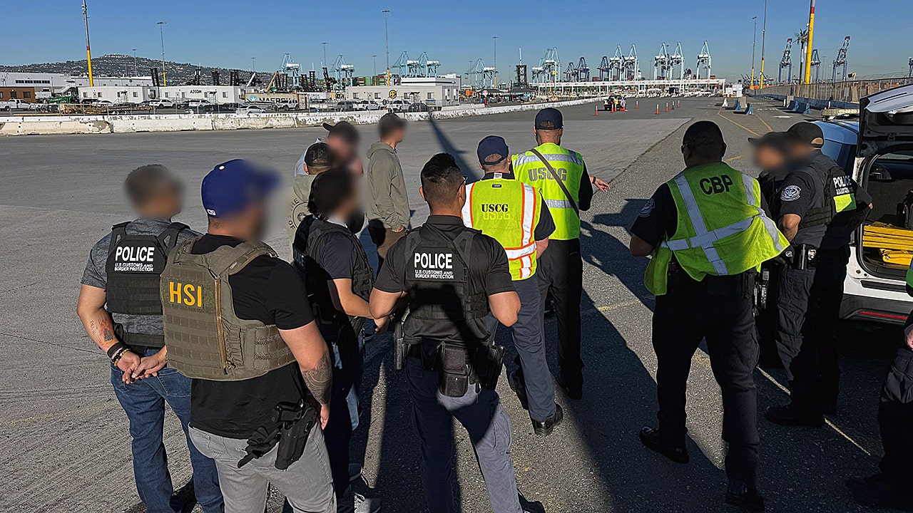 ICE arrests 100+ illegal alien truckers in major sweep after deadly crashes across multiple states<br>