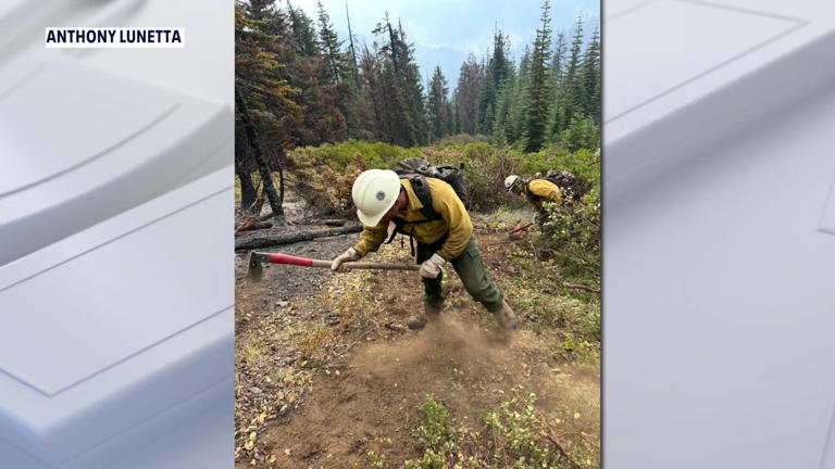 Wildland firefighter paralyzed after Wesley Chapel shooting: 'I was ...