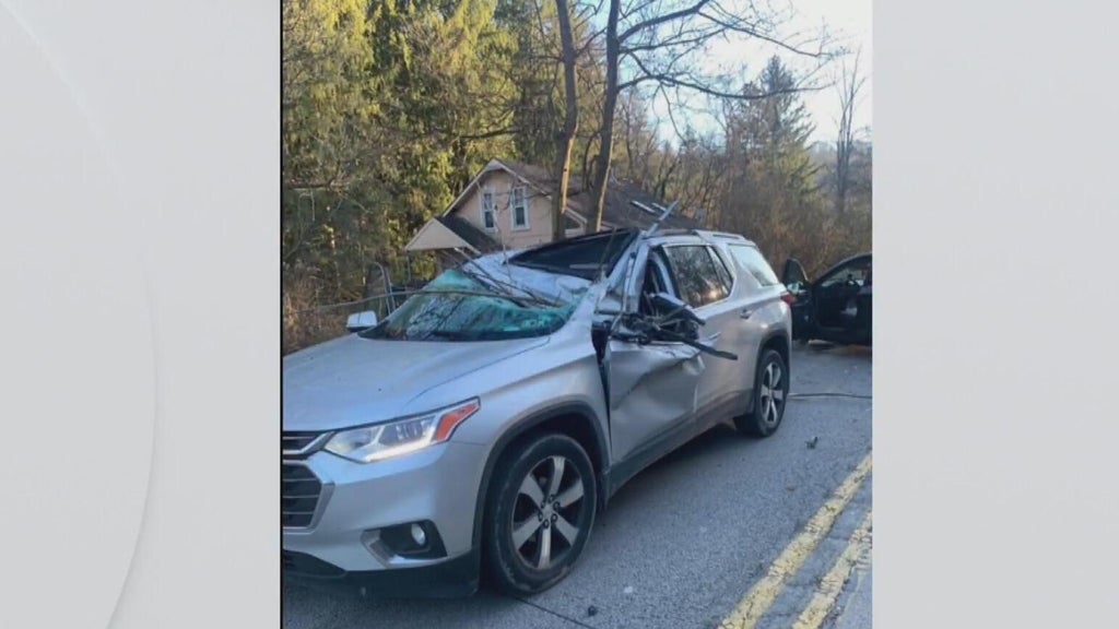 Woman killed after tree falls on car in White Oak