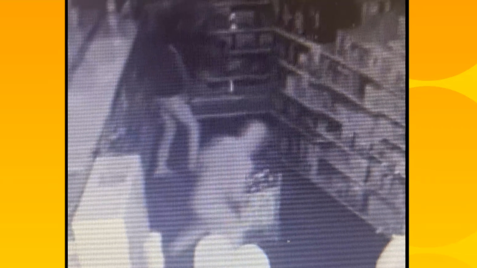 Thieves steal Lego sets worth thousands from Victorian toy store