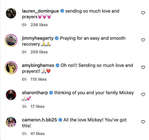 Big Brother's Mickey Lee hospitalized in critical condition in ICU