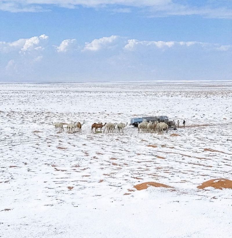 Snow in Saudi Arabia: How the desert country got its 'rare' winter white
