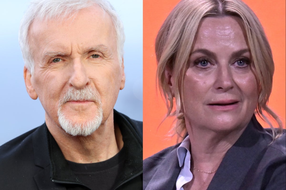 James Cameron calls out Amy Poehler joke that 