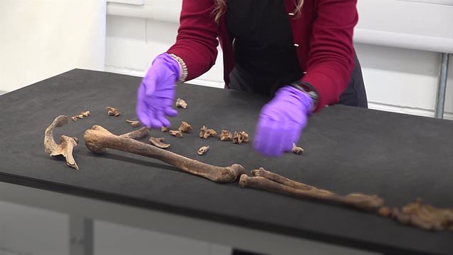 Remains of two Bronze Age people found by farmer being cared for in new Scottish facility