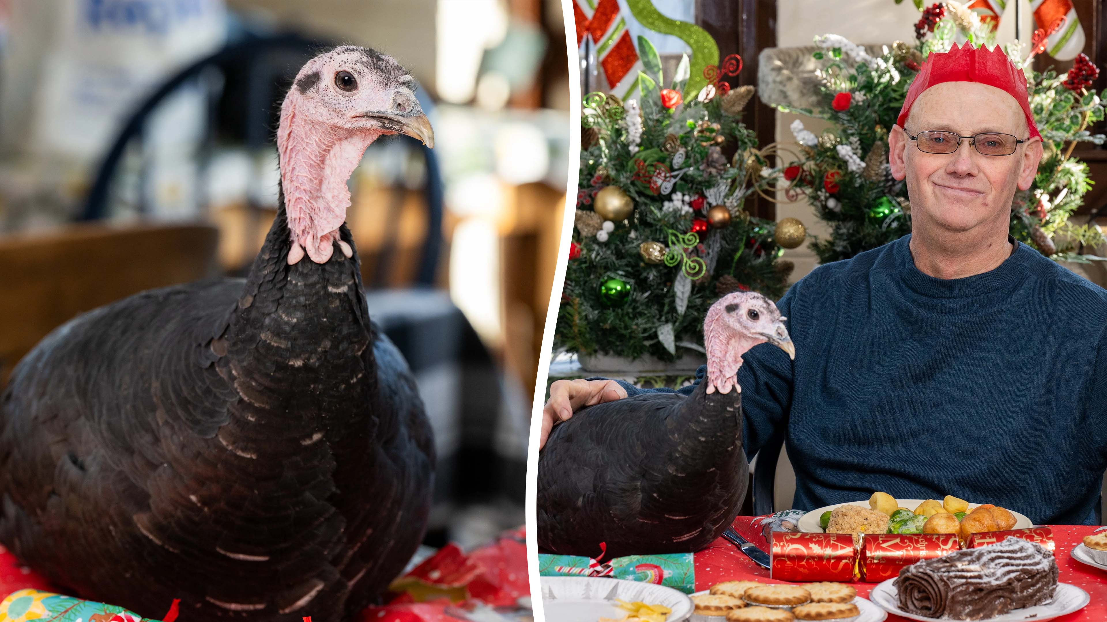 Man swaps eating turkey for Xmas dinner - for eating Xmas dinner with ...