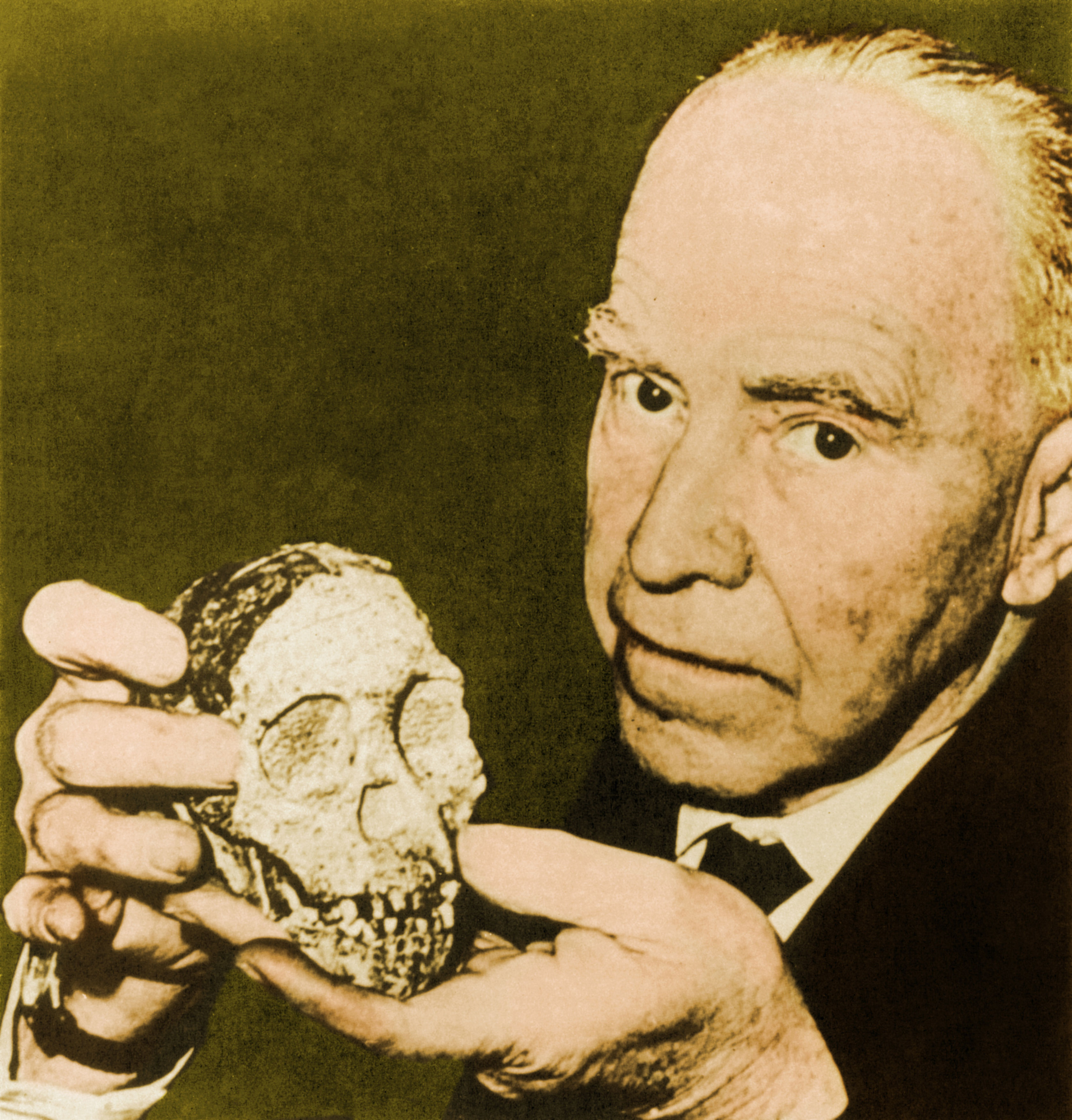A photo of Raymond Dart holding the Taung Child skull up to the camera, near his face.