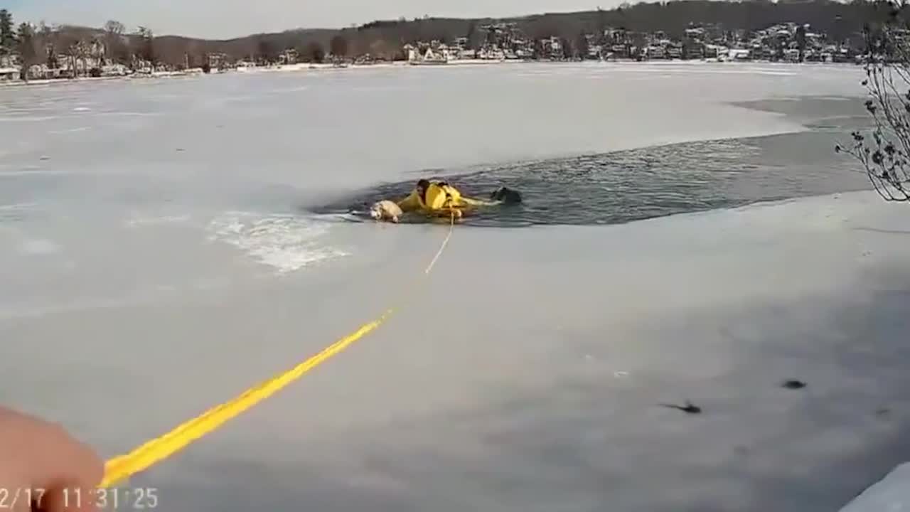Hero police officer rescues dog from frozen lake in New Jersey