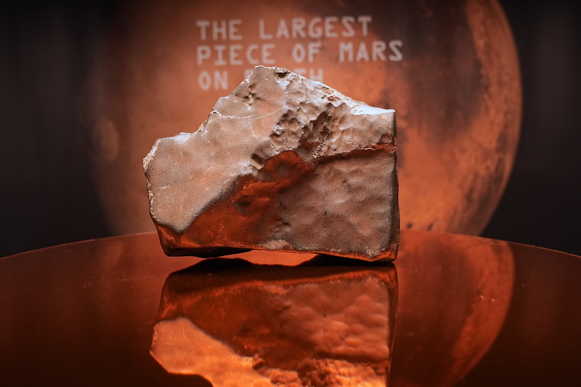 Rare piece of Mars and dinosaur fossils sold for millions in an auction
