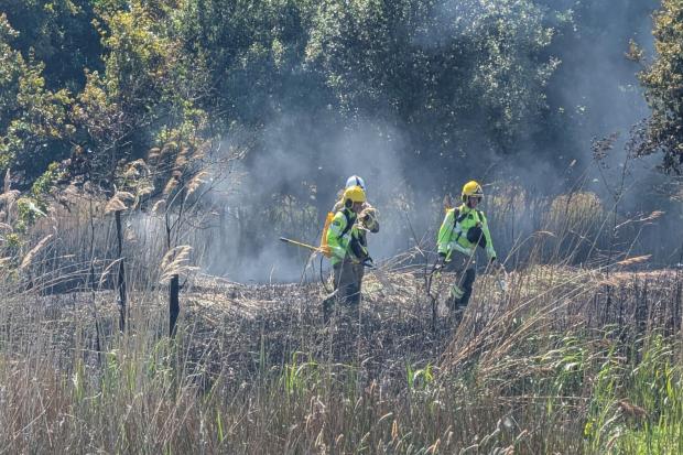 2025 hot summer saw Hampshire and Isle of Wight fires increase by over ...