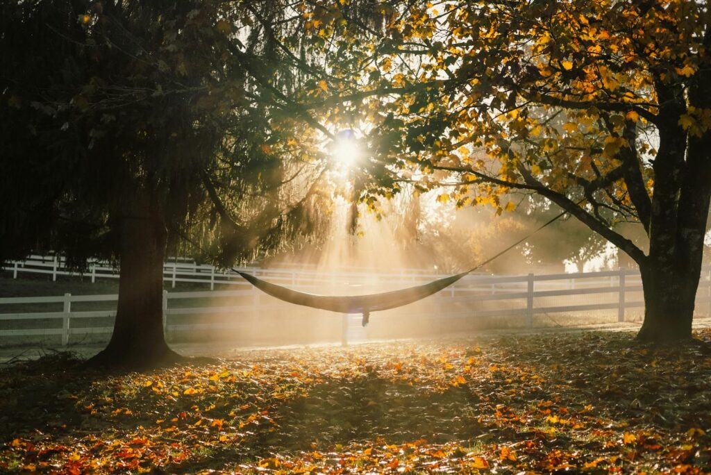 These regions had record-shattering fall temperatures this year