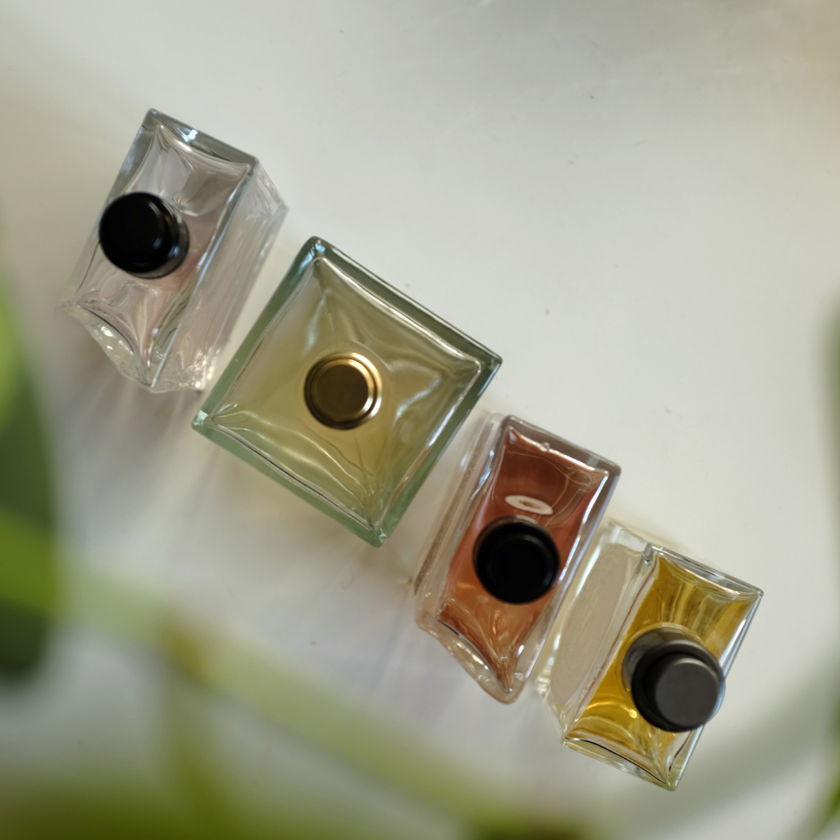 A first look at the fragrance trends poised to lead 2026, according to ...