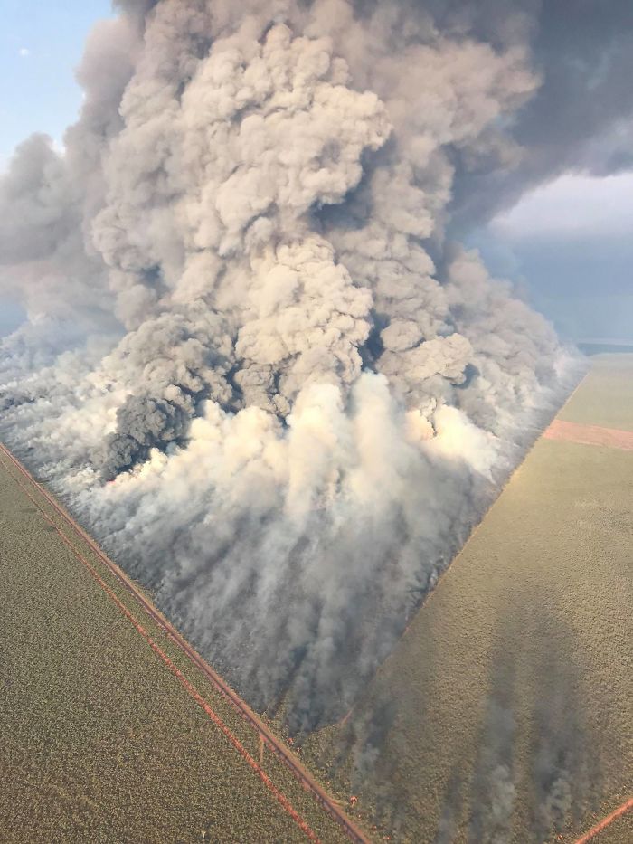 49 Fascinating Pics Of Rarely Seen Things