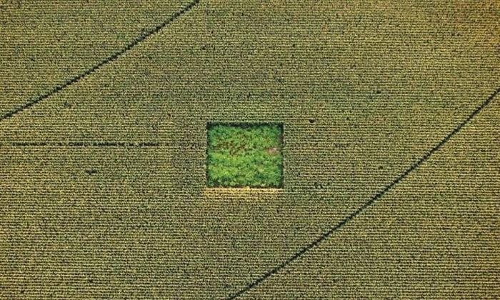 49 Fascinating Pics Of Rarely Seen Things