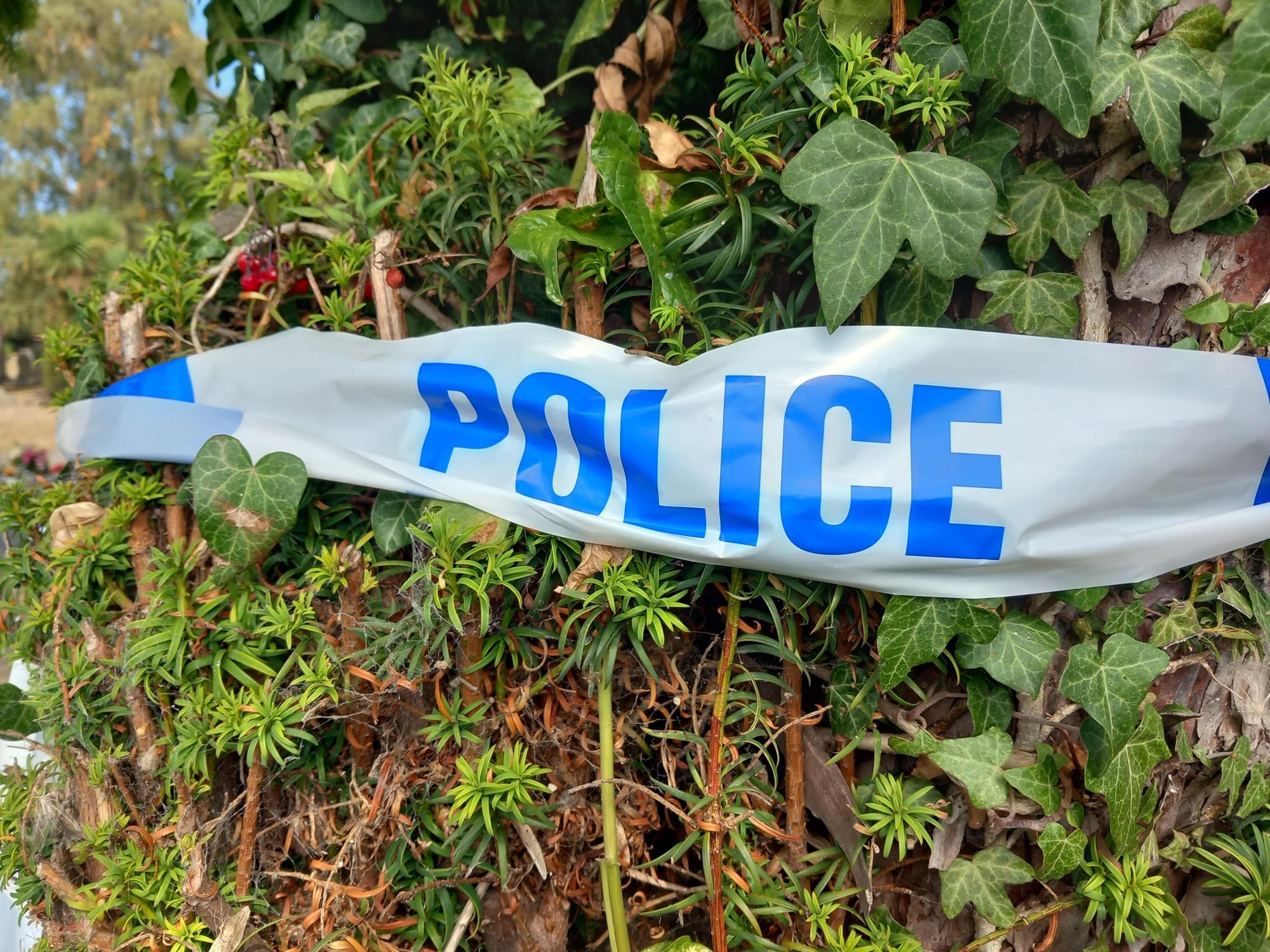 Police recover £700,000 cannabis haul in Dinnington