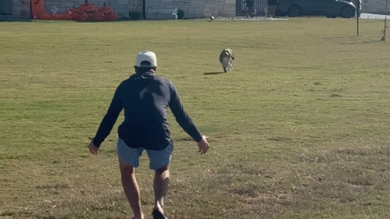 Dog ignores dad completely and rushes to mom with pure love<br>