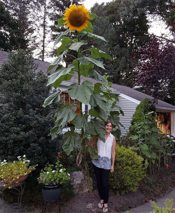 49 Fascinating Pics Of Rarely Seen Things