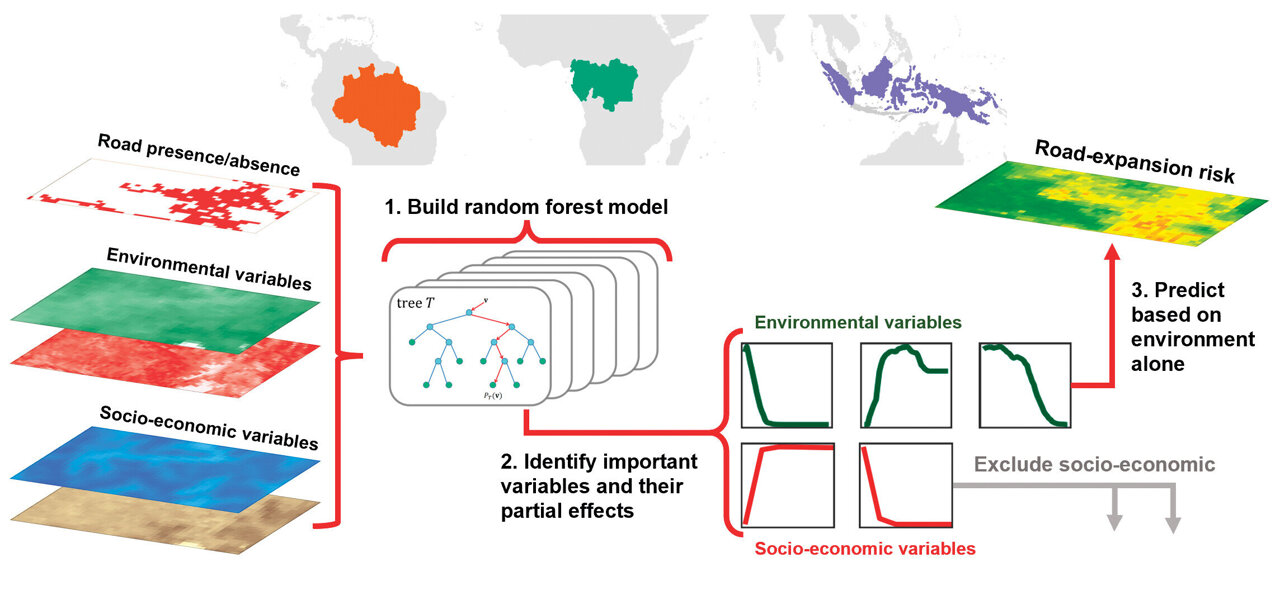 New tool predicts road expansion, deforestation and disease hotspots