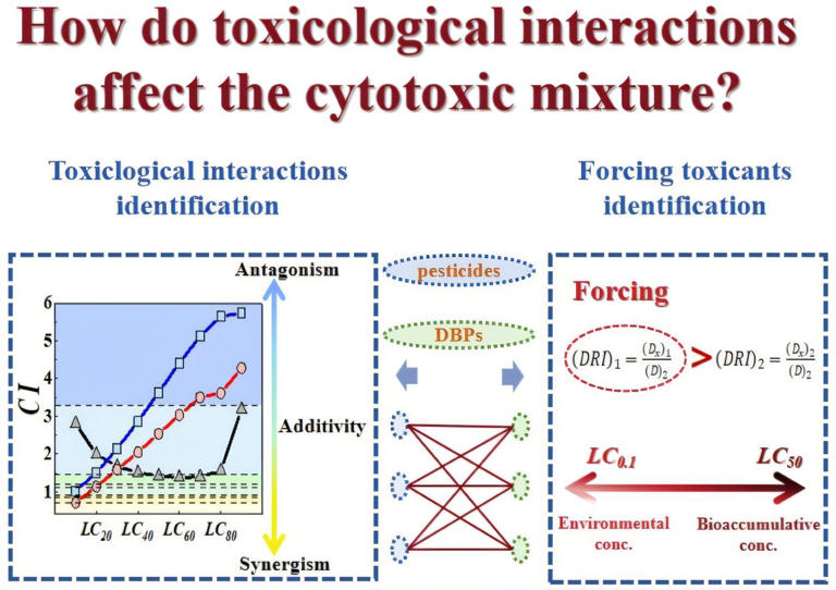 When 1 + 1 ≠ 2: How mixed water contaminants rewrite toxicity rules
