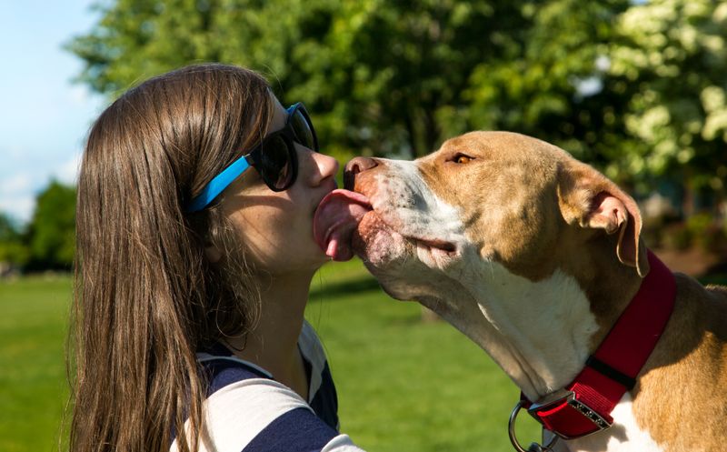 19 Common Dog Behaviors People Punish That Are Actually Signs of Trust 16