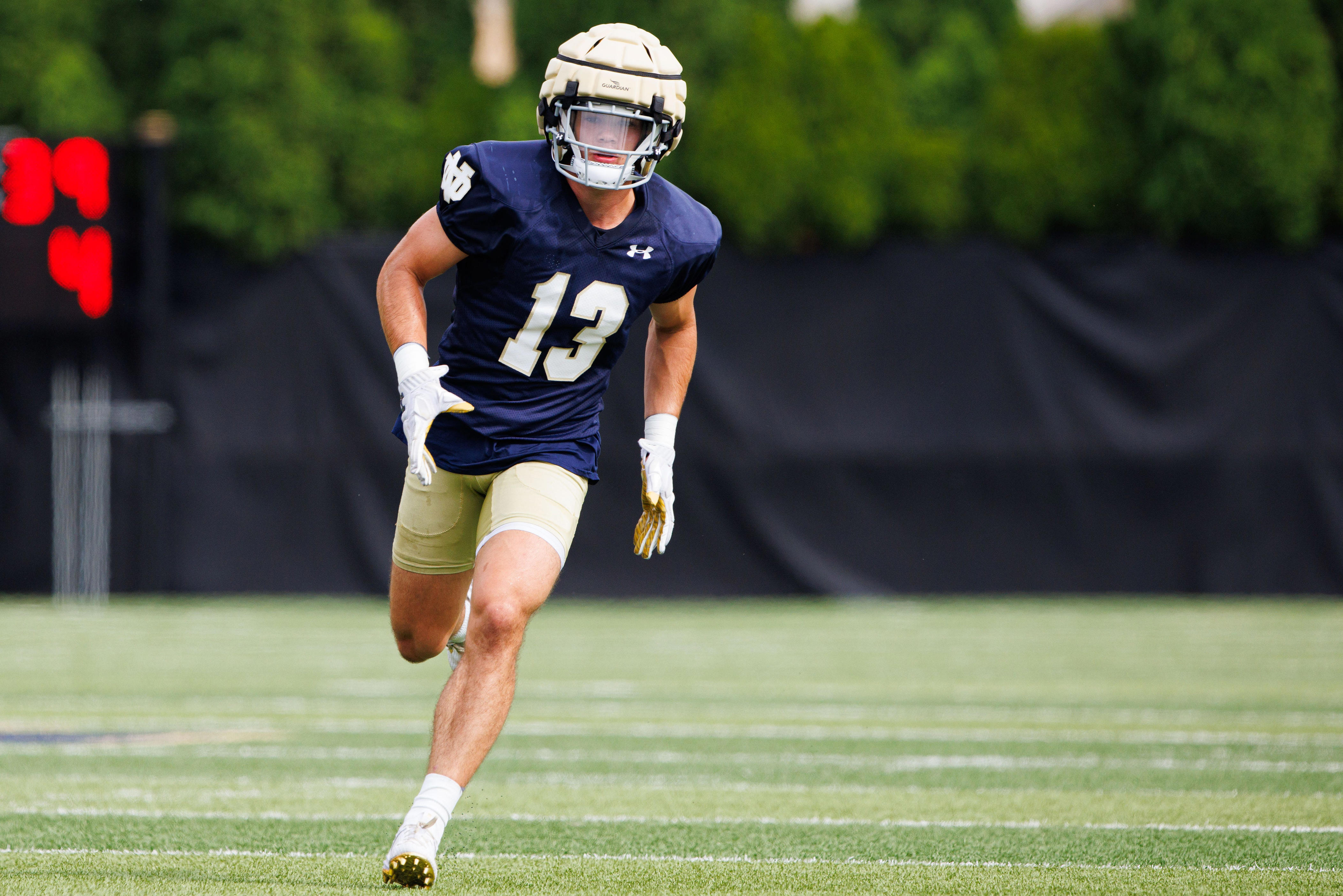 Notre Dame is set to lose yet another safety to the transfer portal