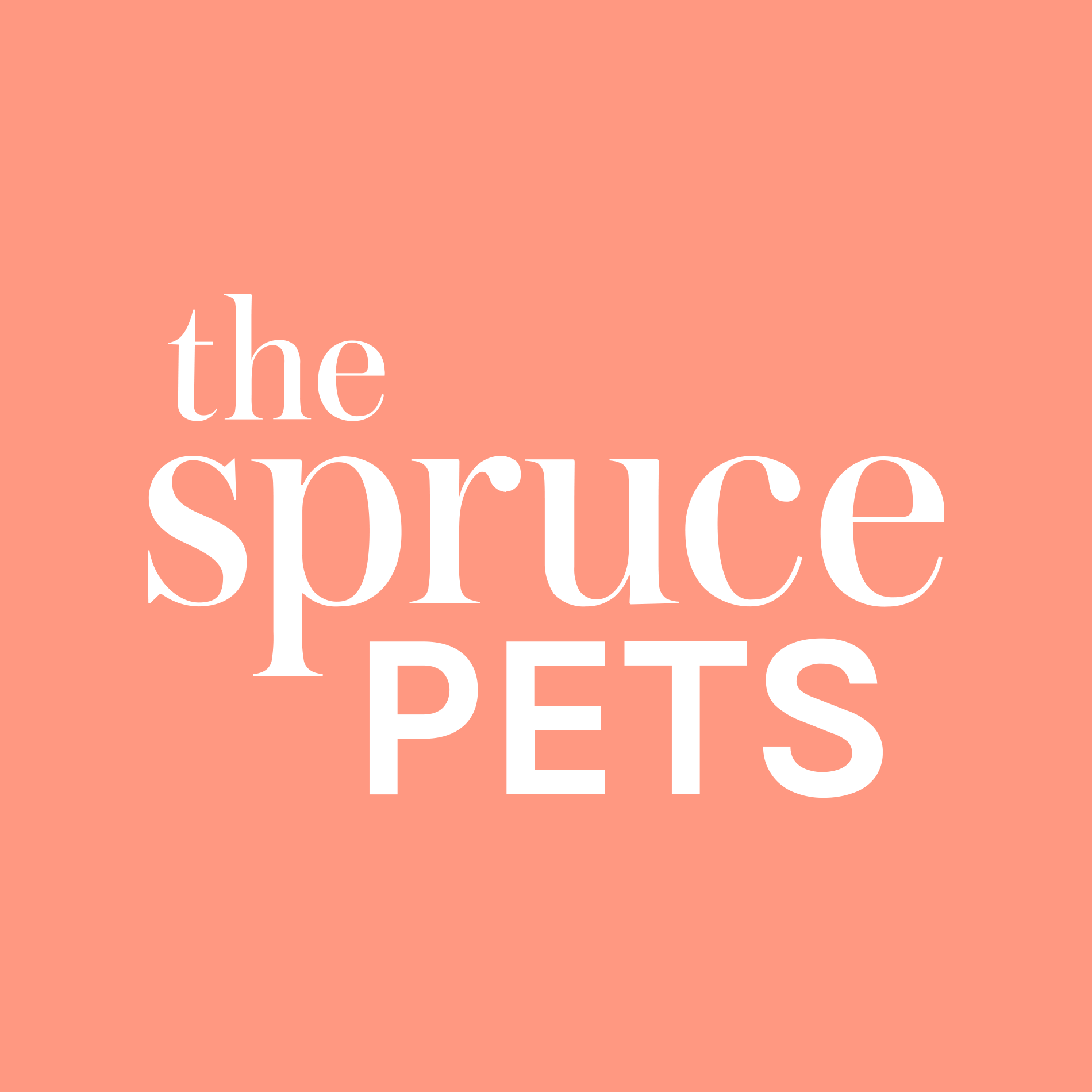 The Spruce Pets