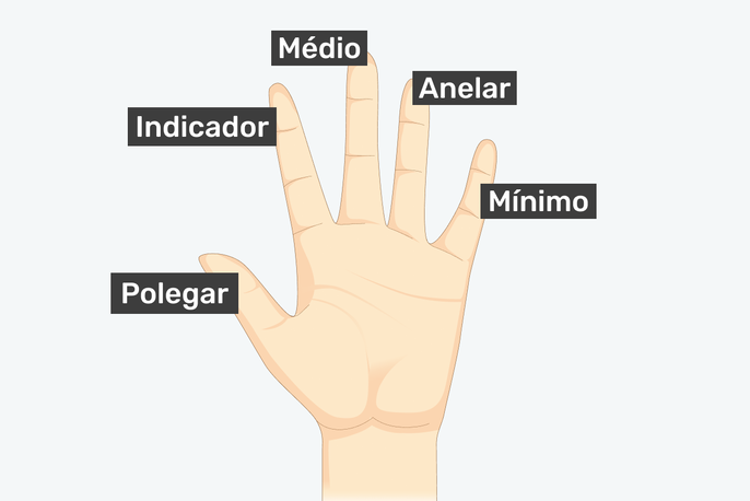 Quais os nome dos dedos da mão?