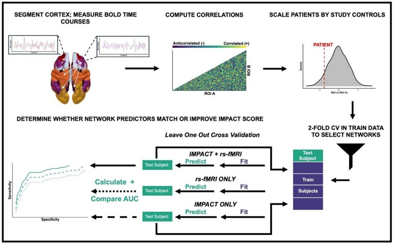 Signature neural patterns may help predict recovery from traumatic ...