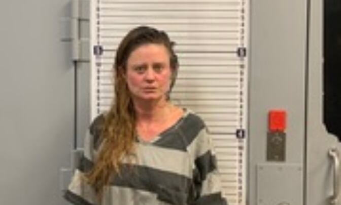 Woman accused of trying to run over 2 people