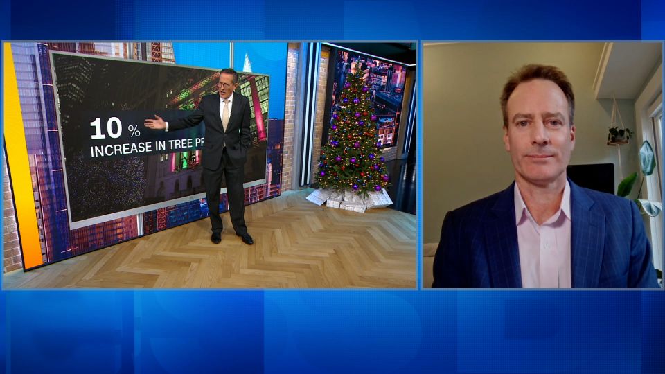 National Tree Company CEO discusses changing consumer tastes for ...
