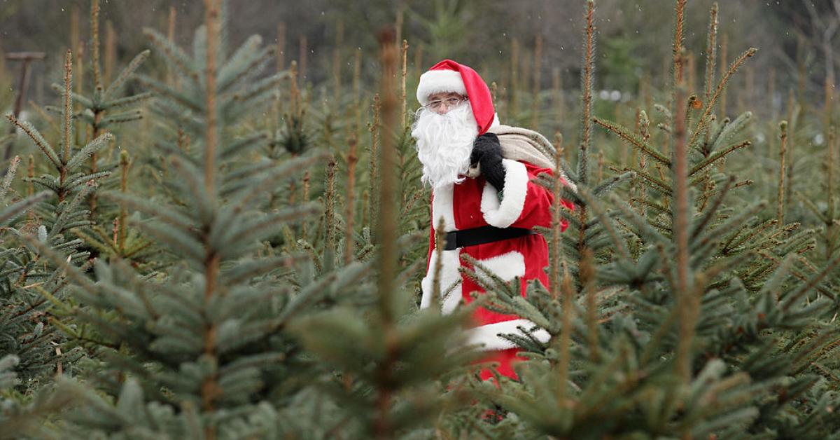 New York village threatens church for selling Christmas trees, prompting lawsuit threat<br><br>