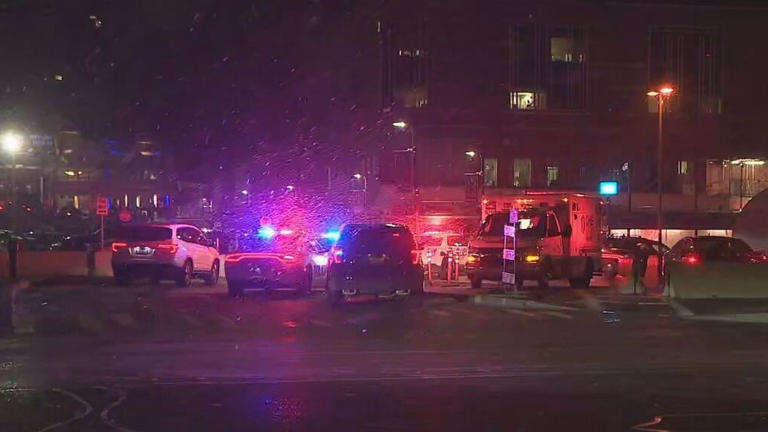 Doctor details heroic efforts to save officers, civilian wounded in ...