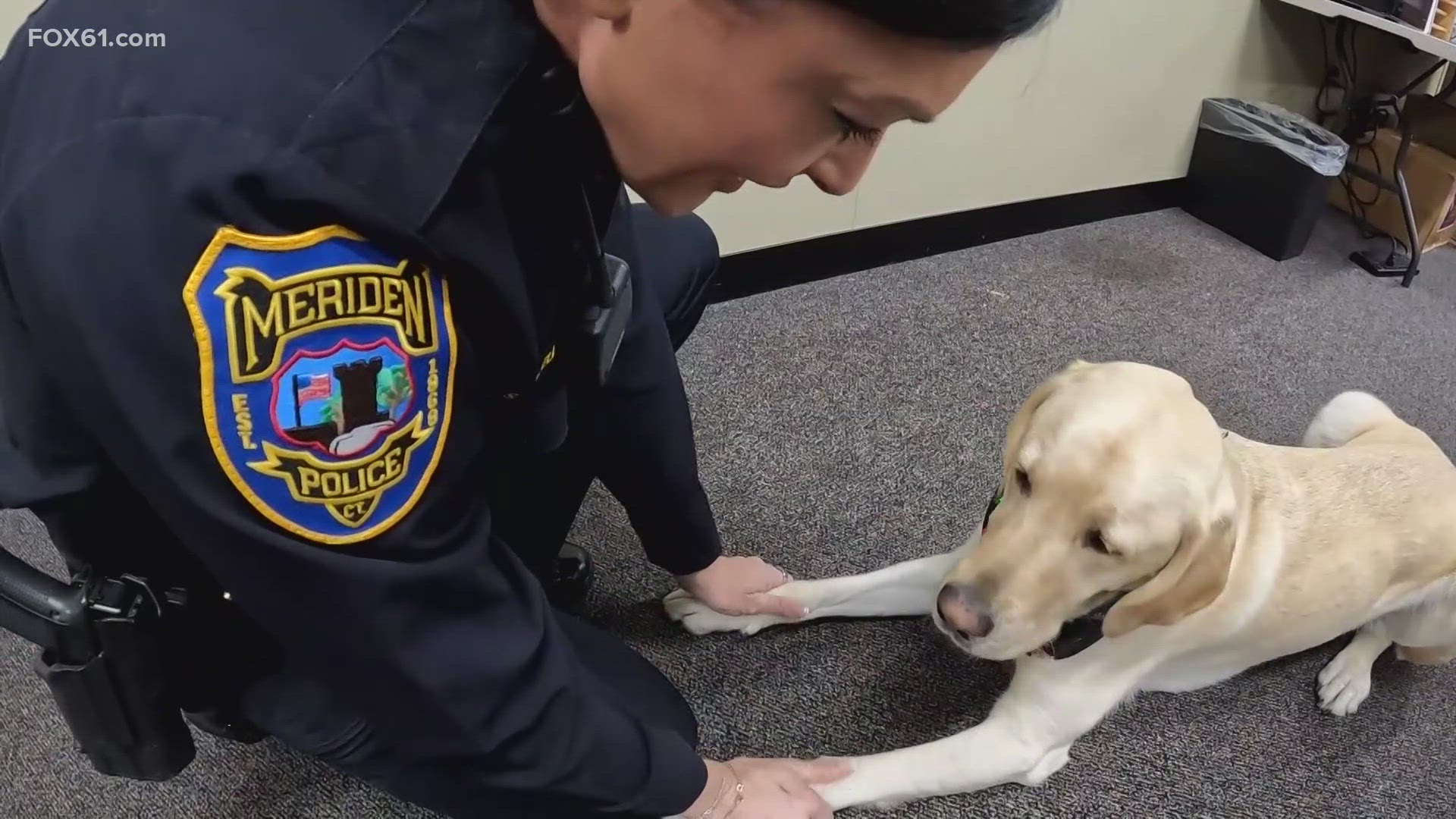 Meriden police K-9 team offers comfort, support to Brown University ...