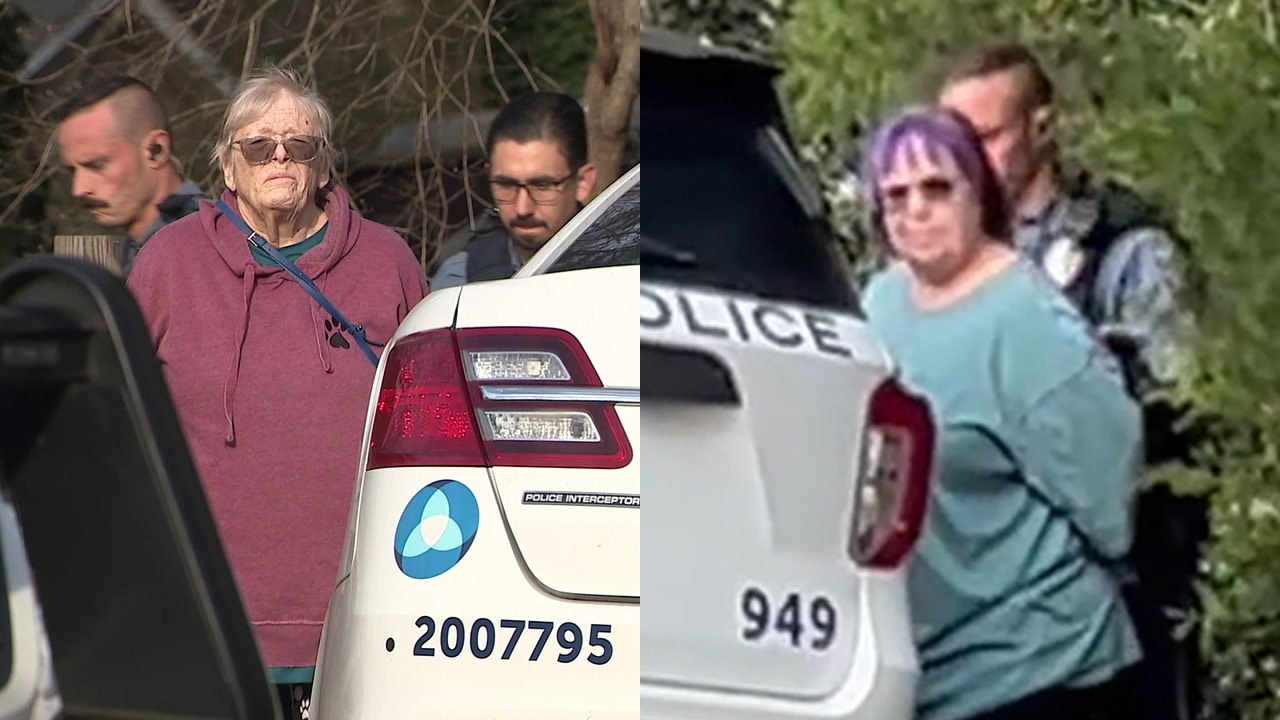 2 Gwinnett women charged after 25 dogs seized, 13 found dead in cruelty ...