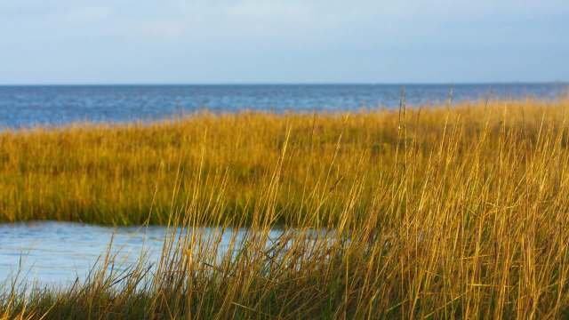 Scientists issue warning about concerning discovery looming over major US region: 