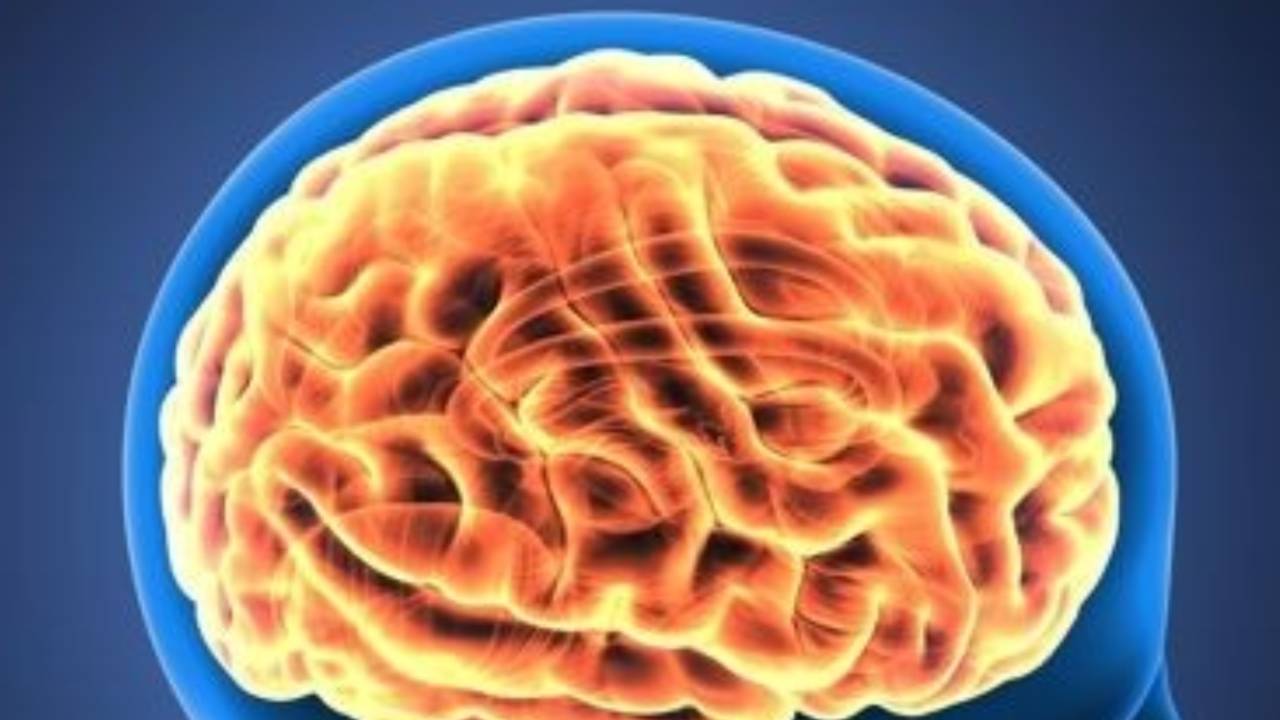 '뇌의 시간표' 밝혀졌다…인간 뇌, 평생 다섯 단계 거친다