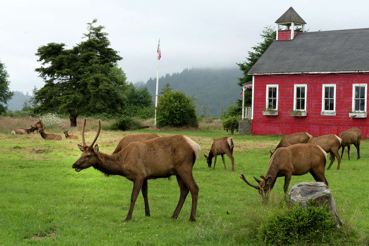 Highway 101 gas station closure to create 40-mile gap on North Coast<br>