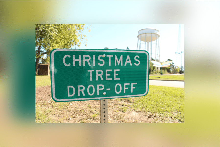 christmas-tree-recycling-available-in-tyler-until-jan-15