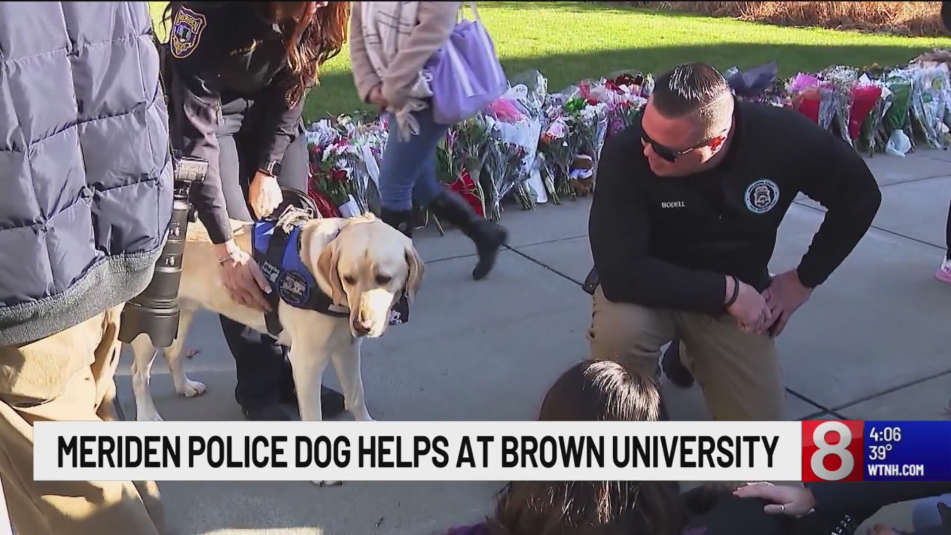 Meriden police service dog returns home from comforting Brown ...
