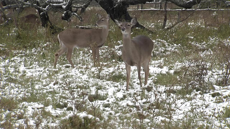 Hunting christmas gifts 2025