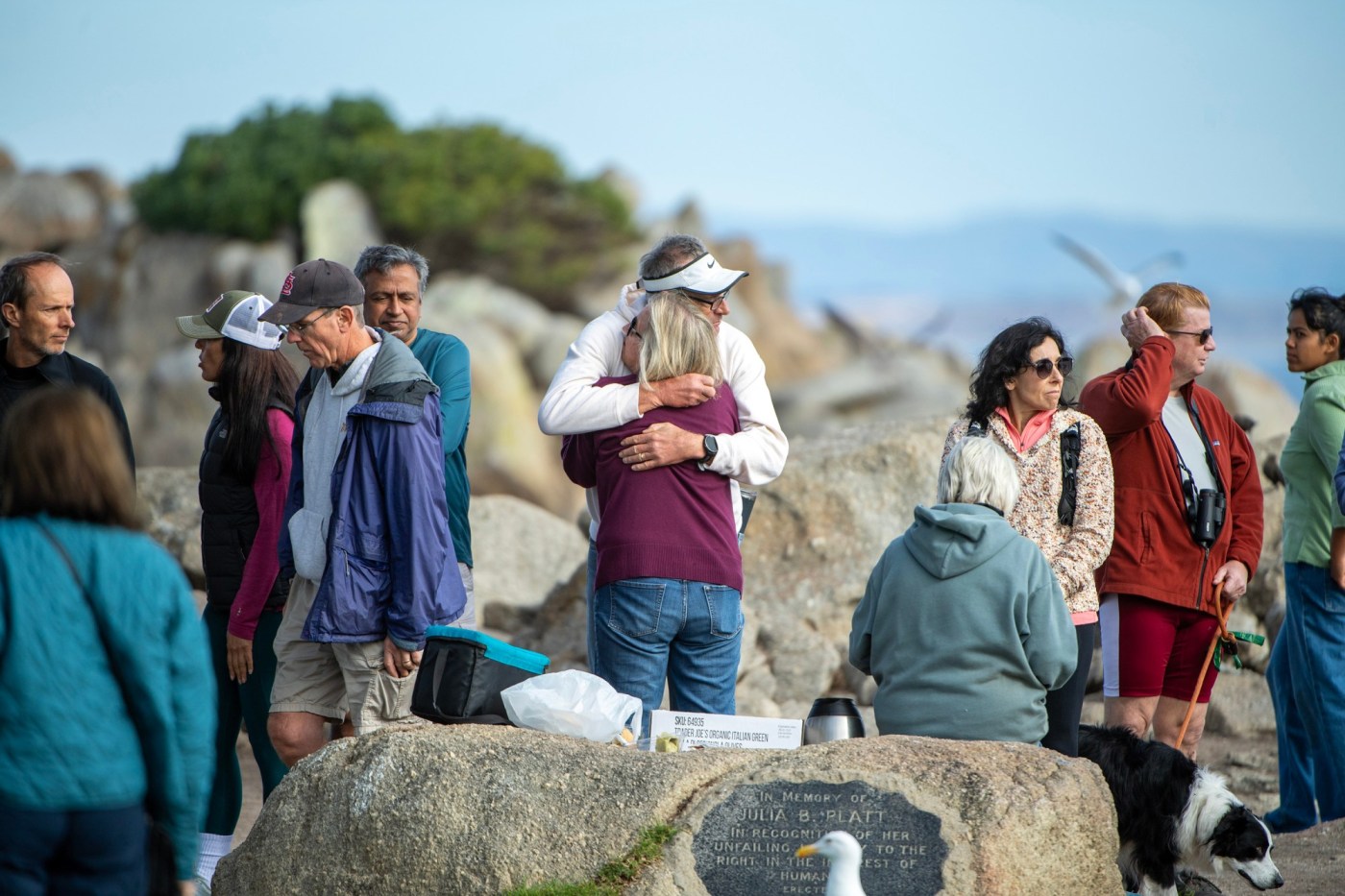 She knew sharks — and their risks. Now the official search for beloved ...