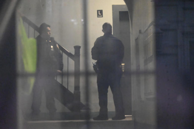 Woman, 47, shot dead in barrage of gunfire inside NYC apartment: cops ...