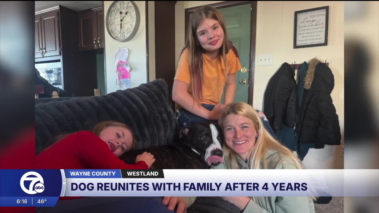 After 4 years apart, family reunites with lost dog just in time for ...