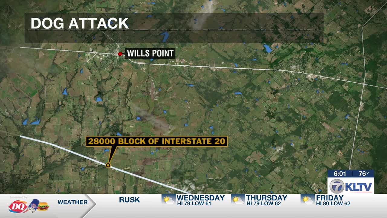 Man airlifted to hospital after dog attack in Van Zandt County