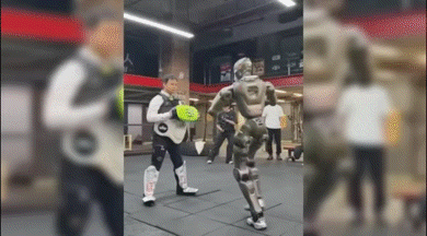 T800 robot's kick sparks safety fears
