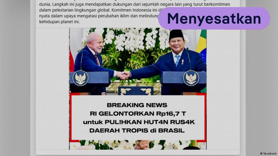 Pemeriksaan Fakta: Apakah RI Beri Rp16,7 T untuk Perbaiki Hutan Rusak di Brasil?