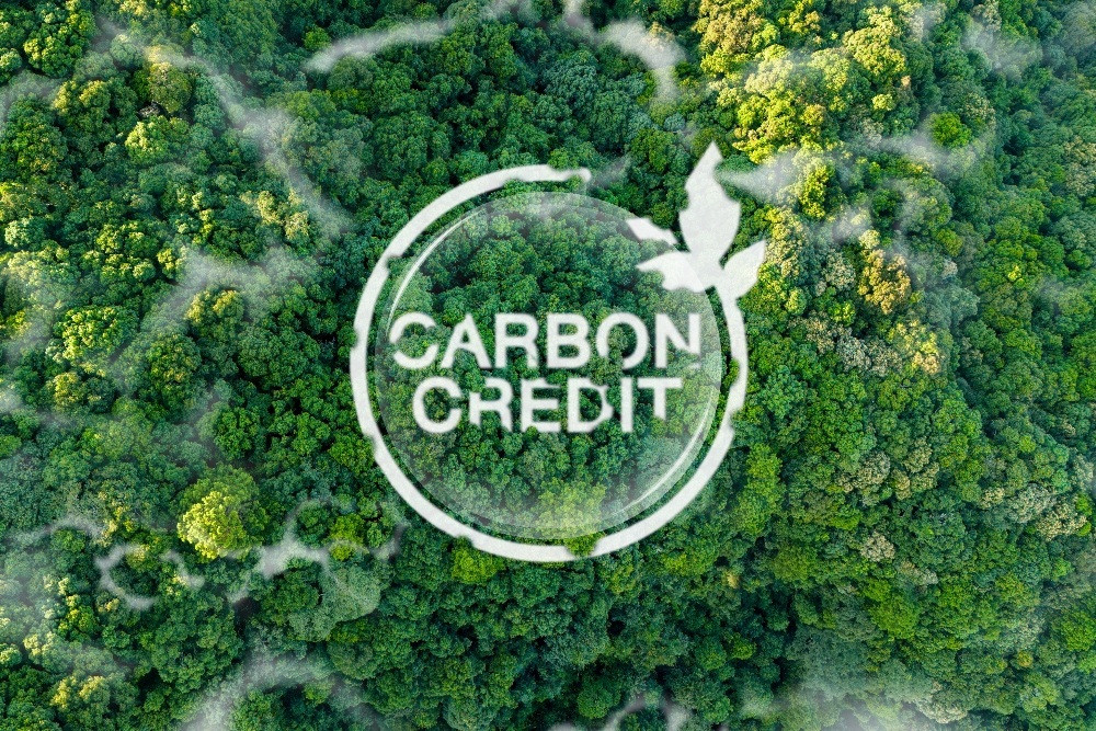 Indonesia tambah stok karbon 34.478 ton dari penanaman tanaman